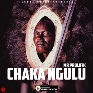 Chaka Ngulu